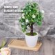 thumbnail image 4 of Diseño simple Flowerpot Bonsai Bonsai Bandeja Flower Platero platillo Fugas a prueba de bambú Planta Planta Planta Paleta Soporte de soporte Hogar Suministros Rectángulo Yuarrent HA011495-02, 4 of 7