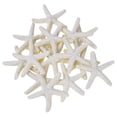 thumbnail image 3 of 75 Pieces Creamy-White Pencil Finger Starfish for Wedding Decor, Home Decor and Craft Project, 3 of 6