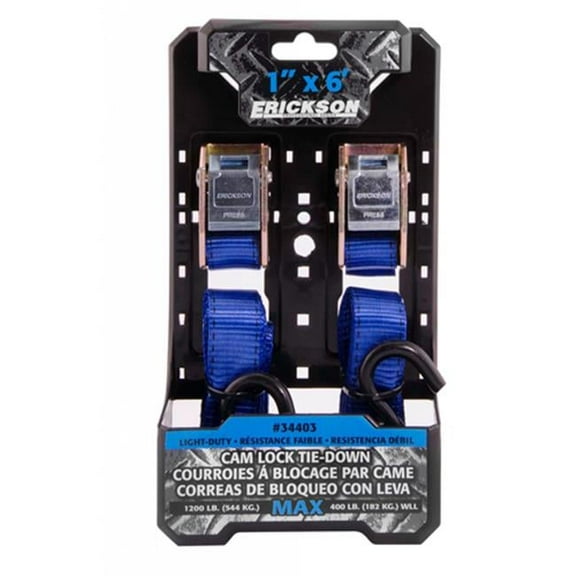 1 in. x 6 ft. Cam Lock Tie Downs - Pack of 2