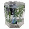 thumbnail image 6 of Tetra 1 Gallon Bubbling LED Aquarium Kit, Acrylic Hexagon Shape Fish Tank with Color-Changing Light, 6 of 7