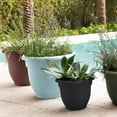 thumbnail image 5 of Bloem Ariana Pot Planter: 20" - Misty Blue - Durable Resin Pot, For Indoor and Outdoor Use, Gardening, Self Watering Disk Included, 11 Gallon Capacity, 5 of 5