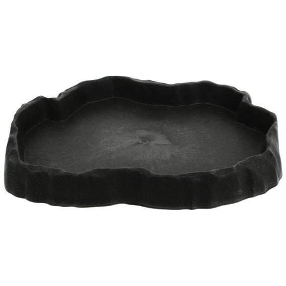 Reptile Bowl Food Feeder Dish Water Tortoise Basin Spider Feeding Amphibian Dispenser Snake Turtle Pet Tray Large Eating