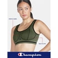 thumbnail image 7 of Champion Women's Seamless Medium Impact Sports Bra, Sizes S - XXL, 7 of 7