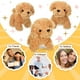 thumbnail image 5 of Perritos de peluche Liliful, 50 unidades para niños, 12 cm, 5 of 7