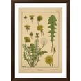 thumbnail image 2 of Art.com Dandelion Giclee Print, Brown Frame Wall Art, 32" x 44", 2 of 4