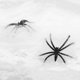 thumbnail image 5 of Sonducket Web Prop Halloween Elástico Web Decoración Fiesta Scary Insect Cobweb Network para Bar Home, Blanco Type3 NO3, 5 of 6
