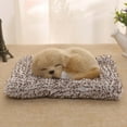 thumbnail image 1 of Xihbxyly Decoración de Perro con Carbón Activado, Modelo de Perro Pequeño, con Capacidad de Absorción de Carbón, Adorno Único para Coche, Ambientador, Regalo para Amantes de Las Mascotas, Tamaño 12 X, 1 of 1