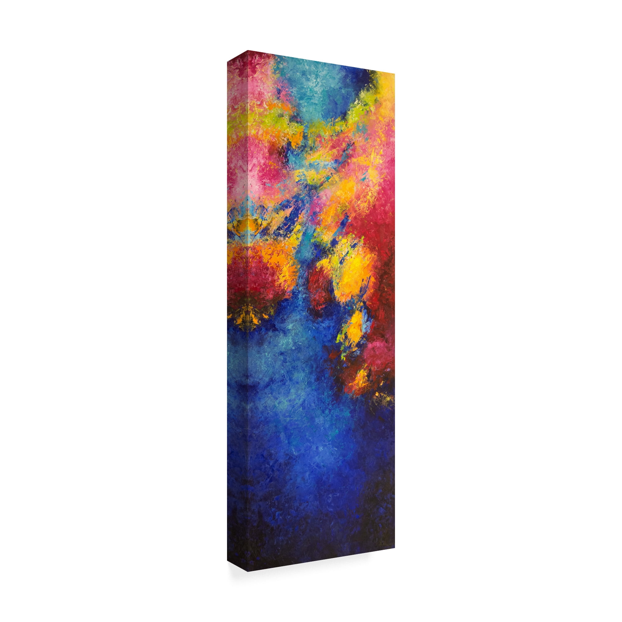 Trademark Fine Art 'Aerial View' Canvas Art by Aleta Pippin