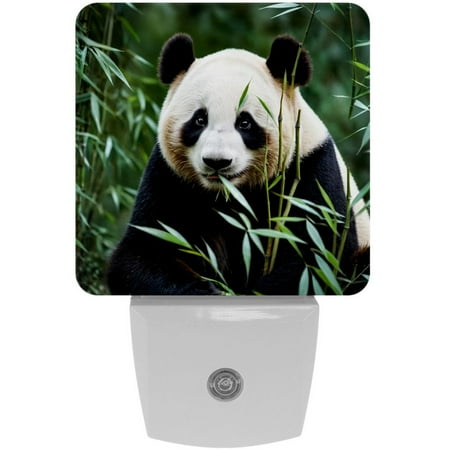 

Night Lights Plug Into Wall [2 Pack] Night Light for Kids LED Nightlight with Dusk to Dawn Sensor for Bathroom Decor Children Room Animal Panda Eat Bamboo