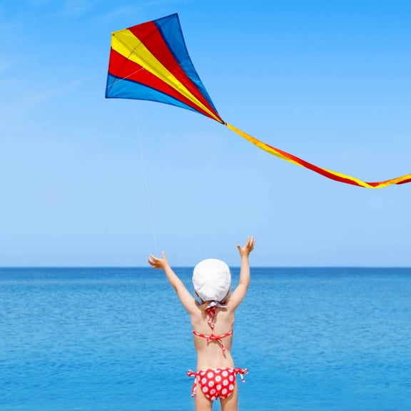 Eolstice Flight Kite, Large Colourful Outdoor Activities Kite, Single Line Delta Kite, Easy Fly Rainbow Kite For Parks, Beach Days, Family Outings, Festivals