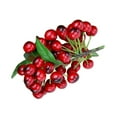 thumbnail image 2 of Matsuzay Cereza simulada Centro de creativamente encantador Doble cabeza Frutas falsas Patrones grandes Decorar Gabinete Sala Salón Decoración 44 Cabezas Negro Rojo NO3 Matsuzay HA071879-03, 2 of 6