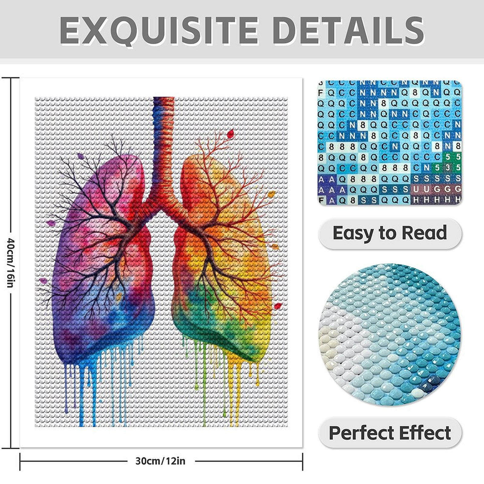 Diamond Art Kit for Adults, Colorful Abstract Lung Art Diamond Painting for Adults Beginners, 5D DIY Diamond Art Painting Kits, Colorful Diamond Painting Craft for Home Decor 12x16