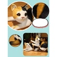 thumbnail image 2 of GENEMA 32cm/12inch Stuffed Cotton Plush Cat Doll Super Soft Realistic Kitty Doll Toy, 2 of 17