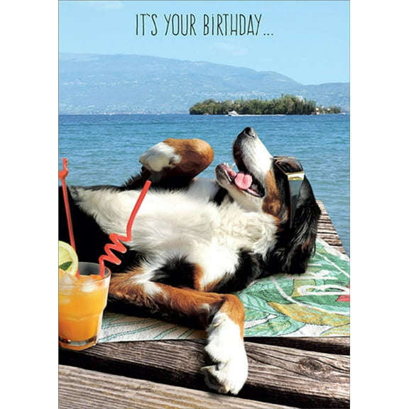 RSVP Dog Relaxing on Dock Near Lake Funny / Humorous Birthday Card