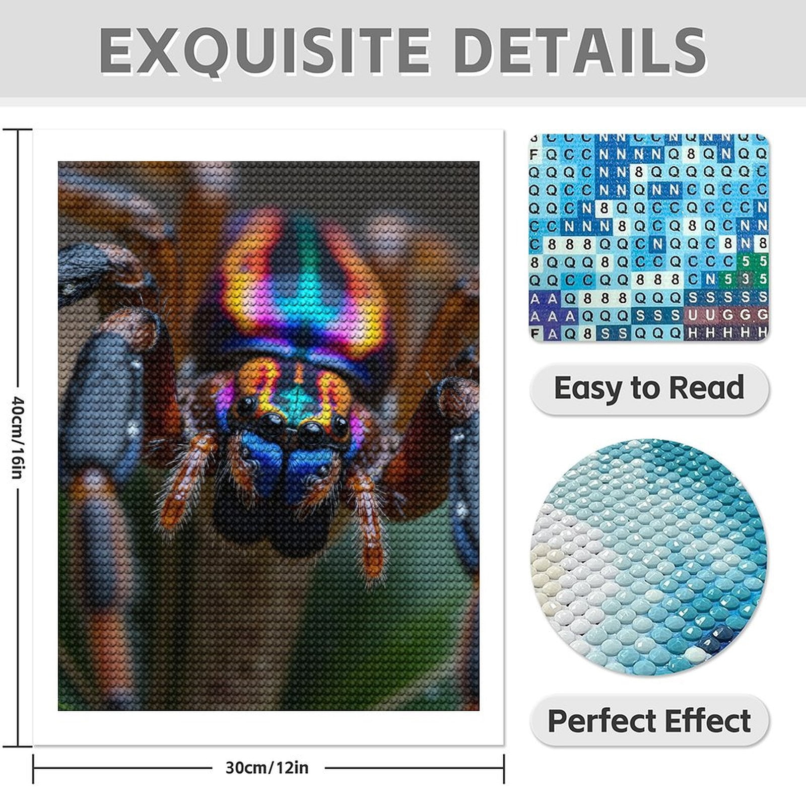 Diamond Art Kit for Adults, Colorful Jumping Spider Closeup Diamond Painting for Adults Beginners, DIY Diamond Art Painting Kits, 5D Diamond Painting Crafts for Home Decor 12x16 Frameless