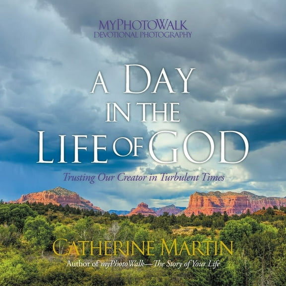 A Day In The Life Of God: Trusting Our Creator in Turbulent Times, (Paperback)