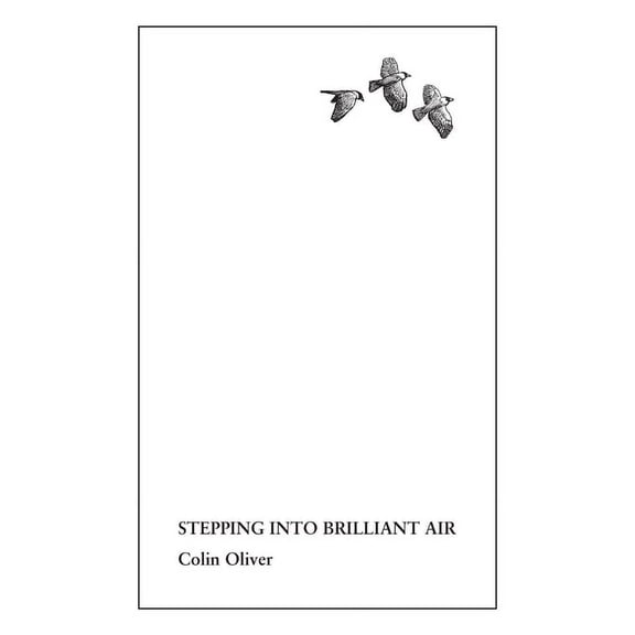 Stepping Into Brilliant Air (Paperback)