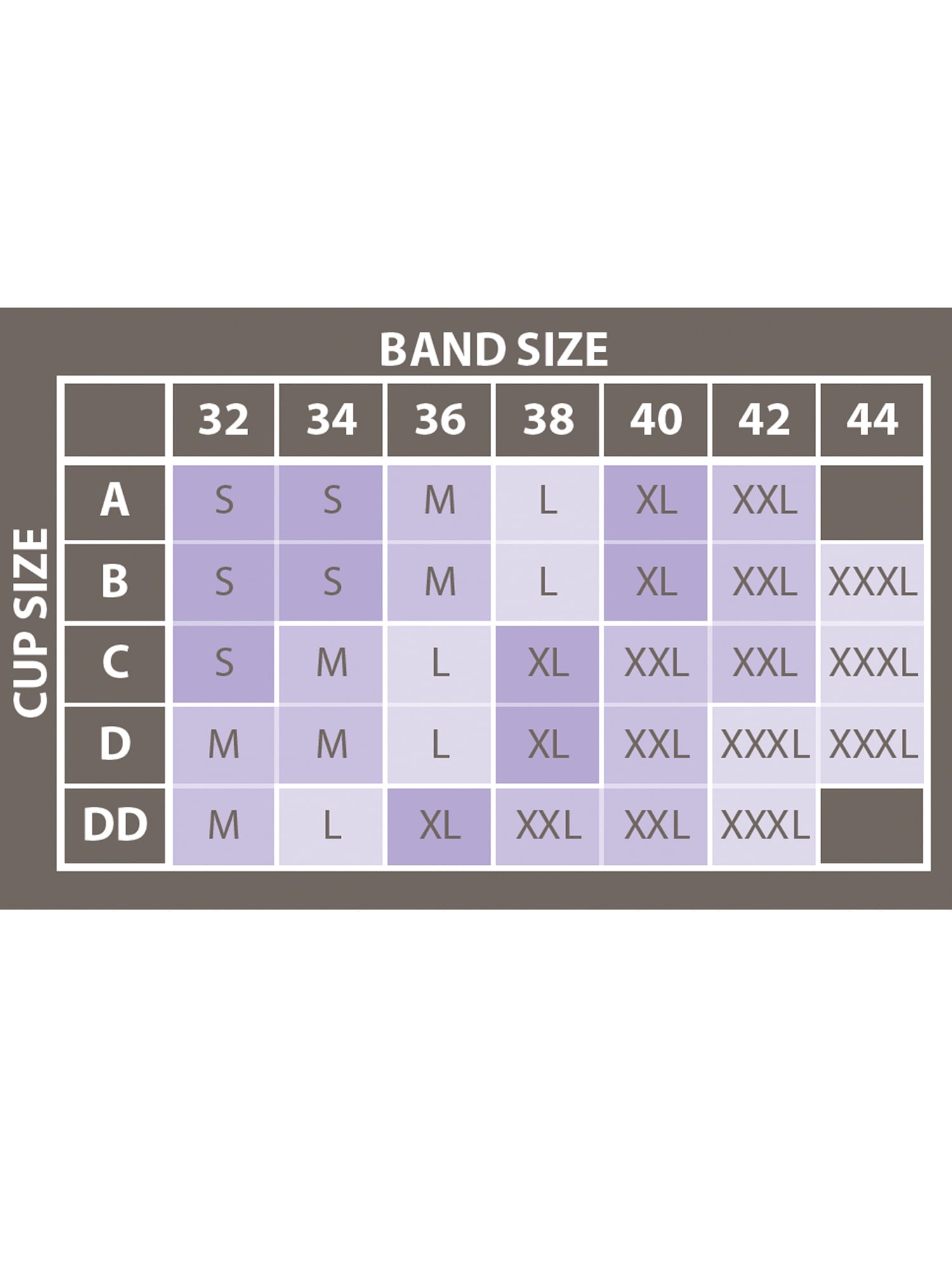 Avia Strappy Sports Bra for Women, Medium Support , S-3XL, 2-Pack
