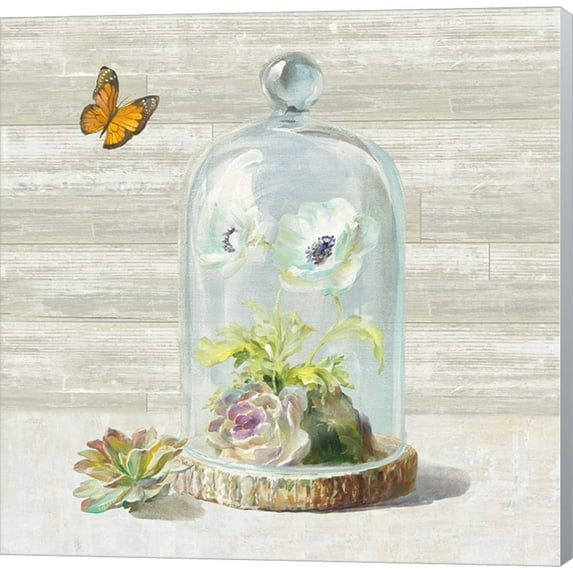 Succulent Garden I by Danhui Nai, Canvas Wall Art