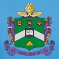thumbnail image 3 of CafePress - Delta Sigma Phi Coat Of Arms T Shirt - Women's Traditional Fit Dark T-Shirt, 3 of 4
