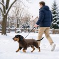 thumbnail image 6 of YYDENG Color‑Block 4‑Legged Pet Hooded Jumpsuit, Warm Adjustable Dog Winter Coat with Leash Hole, Indoor Outdoor Cold‑Weather Dog Apparel, 6 of 6