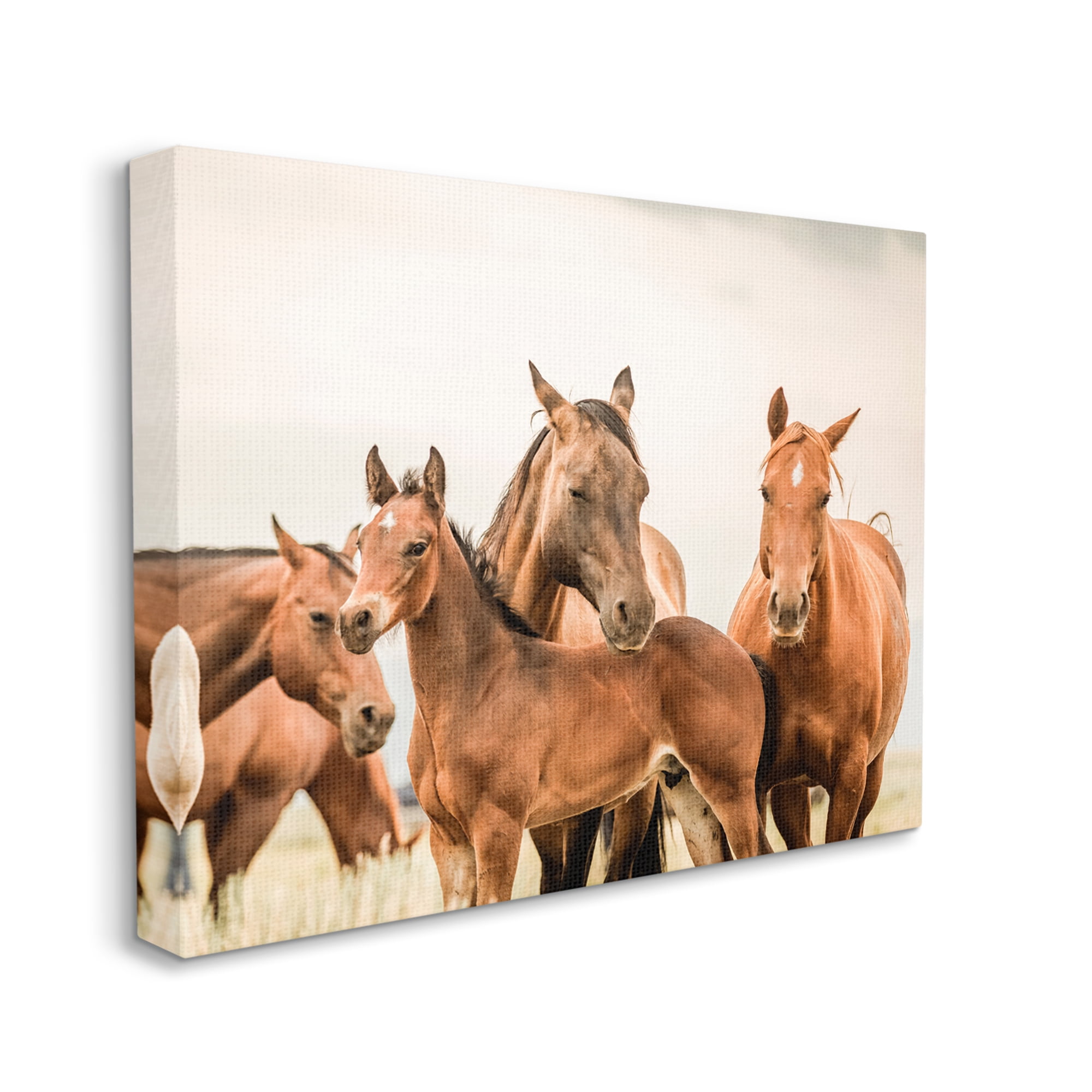 Stupell Industries Horse & Foals Photography Animals & Insects Photography Gallery Wrapped Canvas Art Print Wall Art, 48 x 36