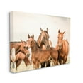 thumbnail image 4 of Stupell Industries Horse & Foals Photography Animals & Insects Photography Gallery Wrapped Canvas Art Print Wall Art, 40 x 30, 4 of 8