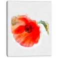 thumbnail image 2 of Large Red Poppy on White Back - Flower Artwork on Canvas, 2 of 4