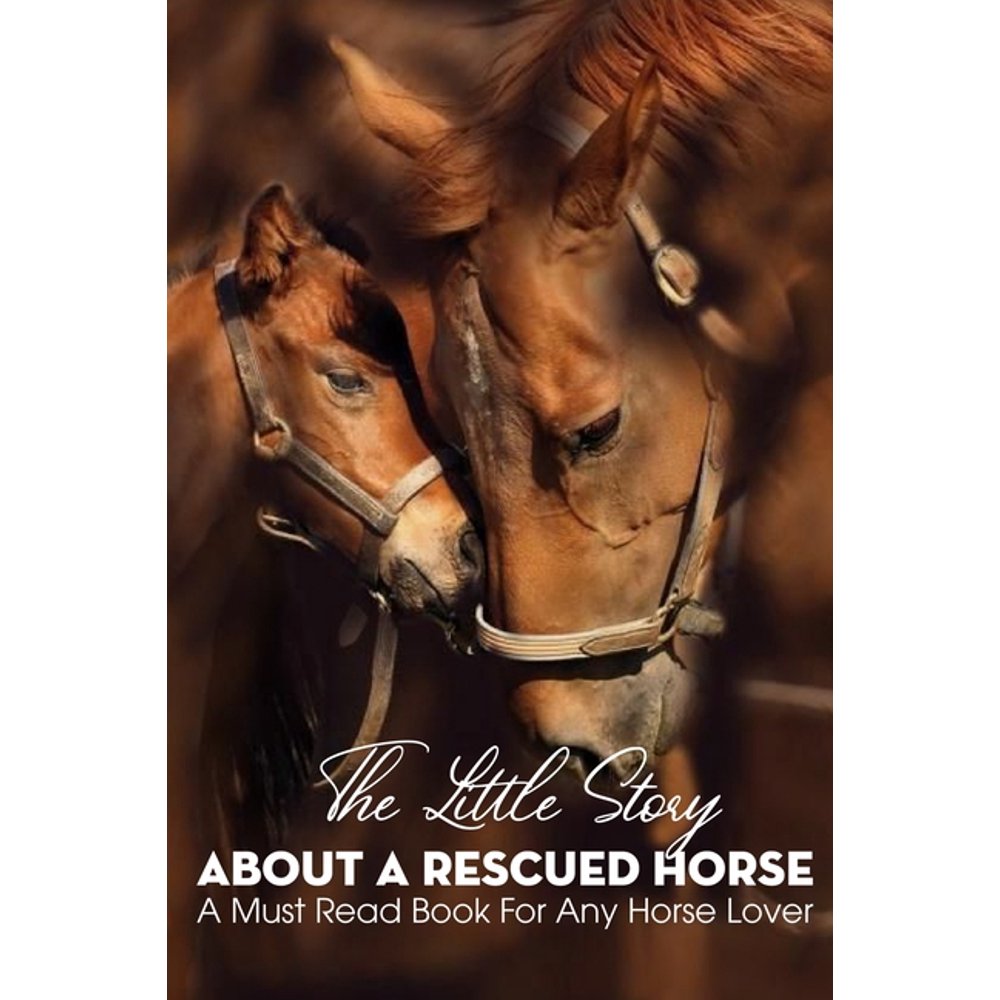 The Little Story About A Rescued Horse A Must Read Book For Any Horse