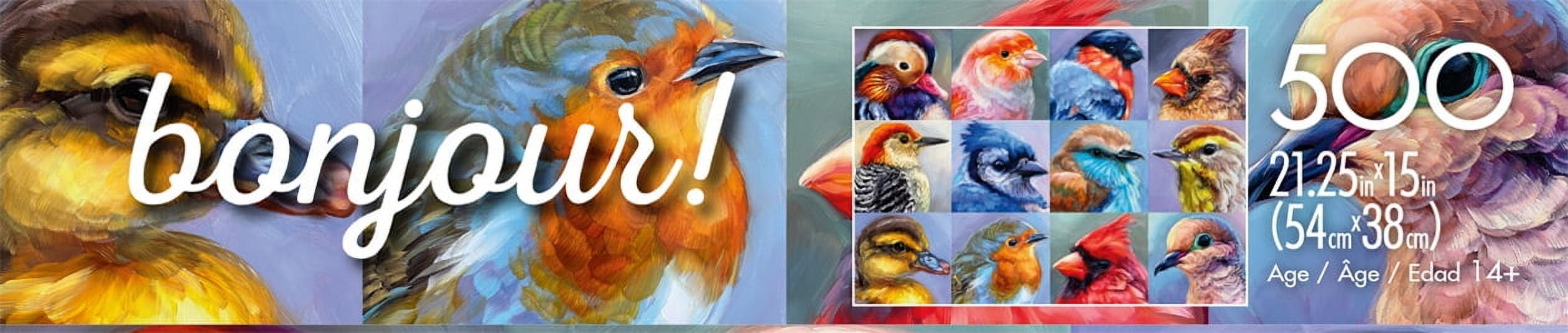 Buffalo Games Bonjour Wild Bird Collage Puzzle de 500 pièces pour adultes de 14 à 99 ans
