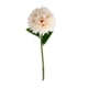 thumbnail image 5 of Cateissary Flor de simulación redonda de aplicación amplia de 10 paquetes/lote para decoración de fiesta o ramo de boda rosa champán rosa champán 2Conjunto, 5 of 6