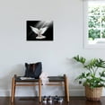 thumbnail image 3 of Art.com A Free Flying White Dove Isolated On A Black Background Stretched Canvas Print Wall Art by Irochka, 24" x 18", 3 of 4