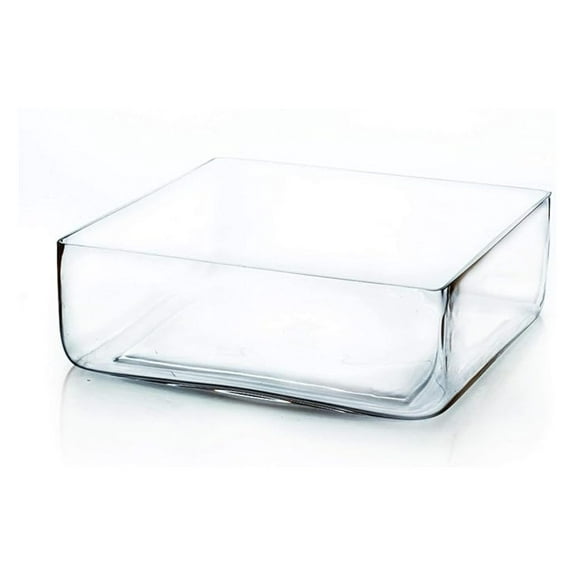 Glass Vase, 12" Square Block Clear Planter Terrarium - Floral Centerpiece Container for Wedding, Home Decor, Events - 1 Piece