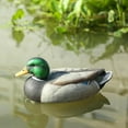 thumbnail image 3 of Mallard Duck Decoy Texas Style Deadly Drake, 3 of 5