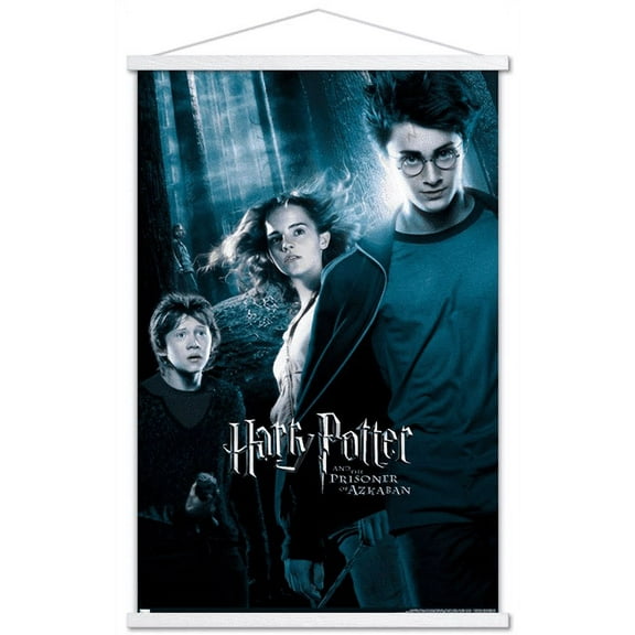 Harry Potter and the Prisoner of Azkaban - Forest One Sheet Wall Poster with Wooden Magnetic Frame, 22.375" x 34"
