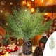 thumbnail image 1 of 12 ramas de pino Norfolk para Navidad, ramas artificiales de 35 cm de tacto real, pino de cedro sintético, vegetación falsa, púas de pino para jarrones, guirnaldas de bricolaje para decoración, 1 of 6
