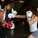 thumbnail image 2 of GUANTES DE BOX Ringside Striker Training Gloves Ringside BG15, 2 of 2