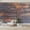 Color 4, variant on Wallpaper Wood Distressed Wood Look Faux Wood Panels Distressed Paint Peel and Stick Wall Murals 100"H x 144"W Removable PVC Wall Paper Self-Adhesive Wall Paintings Art Decor for Bedroom Living Room