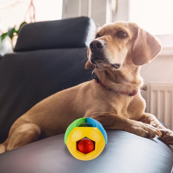 IFANLANDOR Dog Interactive Toy Bell Ball Toy Plastic Wear Resistant Engaging Chewing 1Set