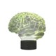 thumbnail image 2 of Halloween Decor 3D Human Brain -Cerebellum Model Table Lamp 7 Color Changing Led Night Light Gift, 2 of 5