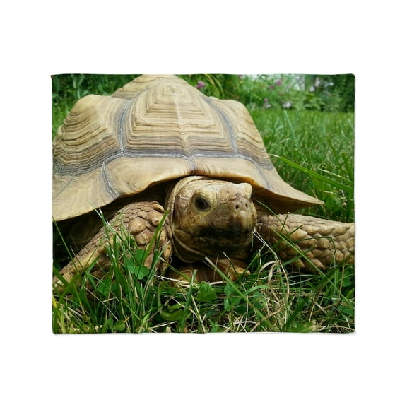 CafePress - Sulcata Tortoise Throw Blanket - Soft Fleece Throw Blanket, 50"x60" for All Ages