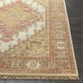 thumbnail image 3 of Surya Zeus ZEU-7819 Area Rug 5'6" x 8'6", 3 of 5