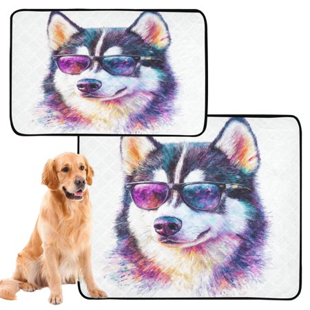 Waterproof Dog Cat Pet Mat with Plush Absorbent Surface & Non-Slip Dotted Base, Leakproof Dog Cat Mat for Couch,Car Seat,Floor Protection Dog Wearing Sunglasses