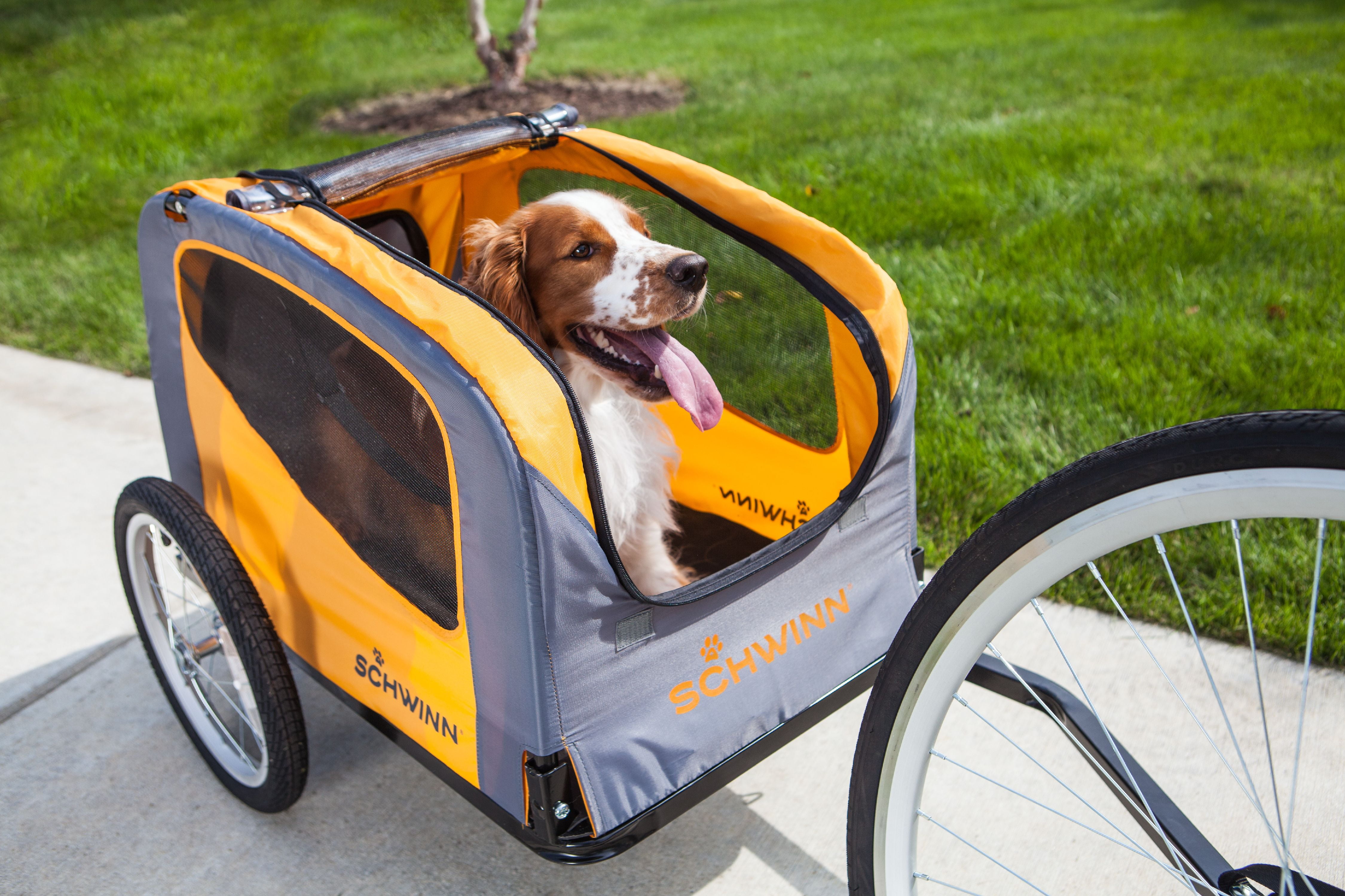 bike stroller for dogs