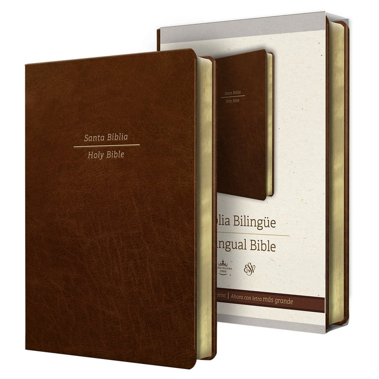Santa biblia english español 聖書 NLT Bilingual Bible / Biblia bilingüe NLT/NTV (Hardcover, Blue