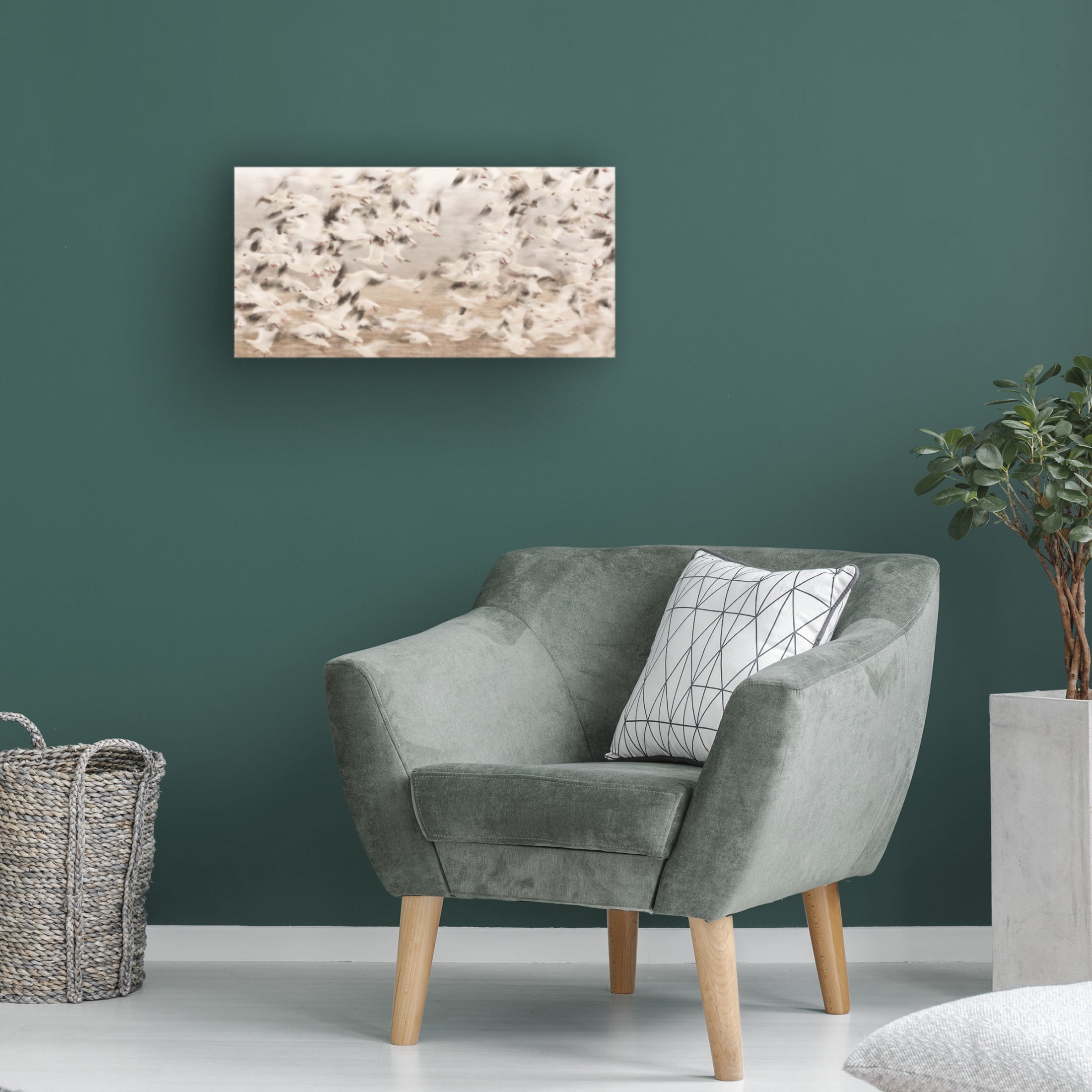 Canvas Wall Art - Qingsong Wang 'Flock Exposure' Wall Art for Living Room, Bedroom, or Office D?cor by Trademark Fine Art - 19 x 10 Inches