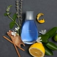 thumbnail image 4 of Alfred Sung HEI Cologne For Men, Eau De Toilette Spray Vaporisation for Day or Night, 3.4 oz, 4 of 5