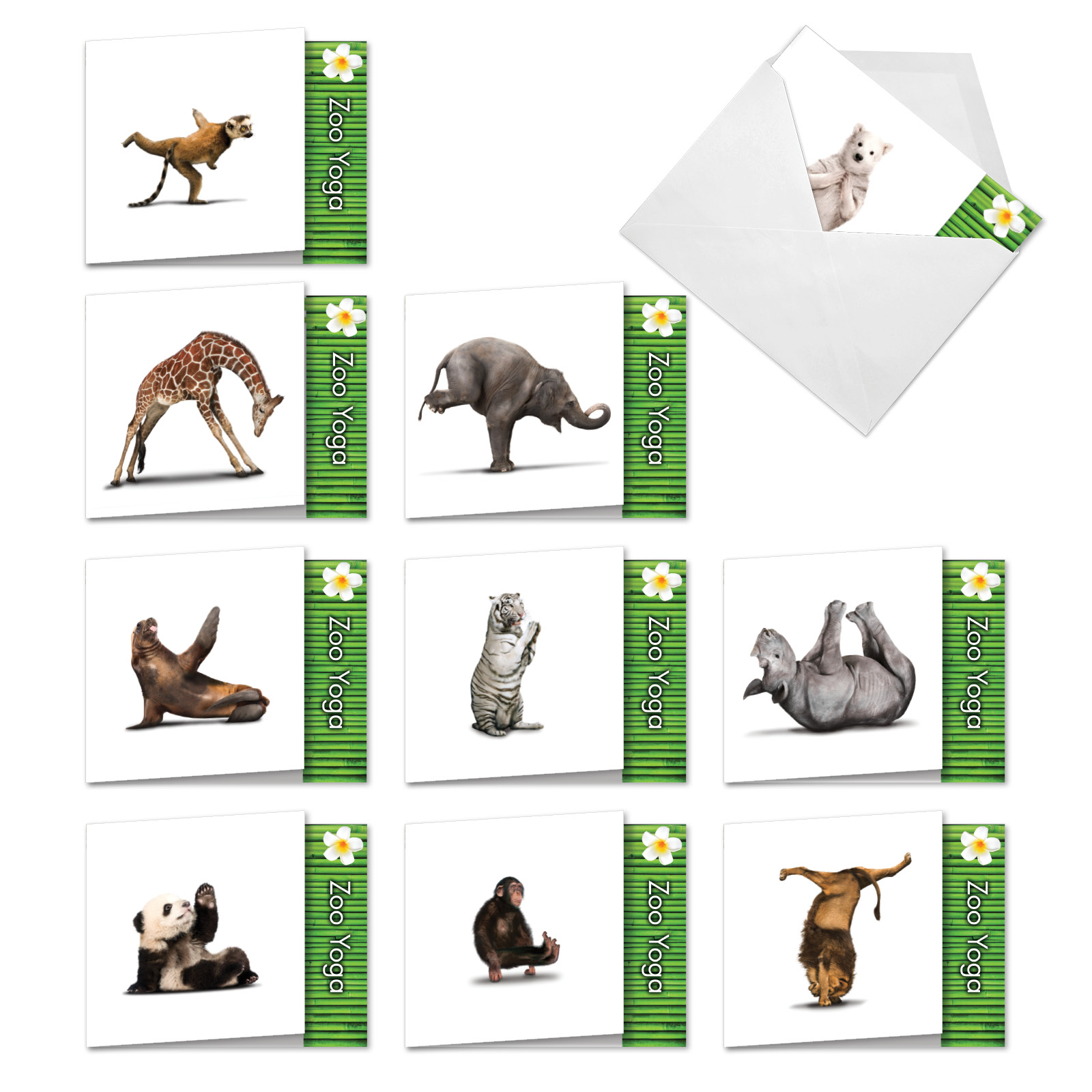 MQ6547OCB-B1x10 ZOO YOGA: 10 Assorted, Blank Square-Top, All Occasions Cards Featuring Fun and Flexible Zoo Animals Practicing Various Yoga Poses with Envelopes by The Best Card Company