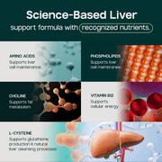 Liverite Liver Aid 90 Tablets -Advanced Liver Support with 17 Amino Acids, Choline and Phospholipids, Supports Healthy Liver Function and Metabolism, Natural Cleansing and Digestion.