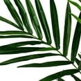 thumbnail image 2 of Vickerman 6' Artificial Potted Kentia Palm., 2 of 5